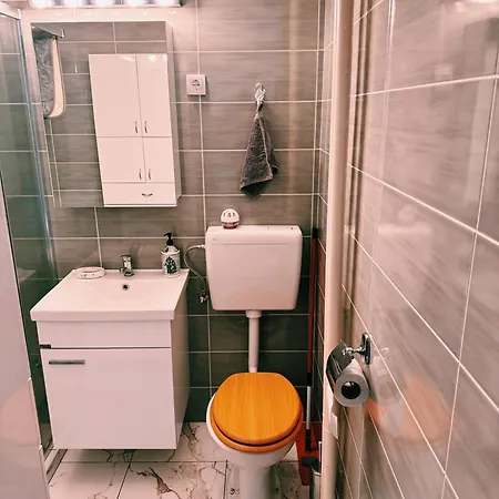 The Boulevard Buzz * Zrenjanin