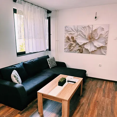 The Boulevard Buzz Zrenjanin