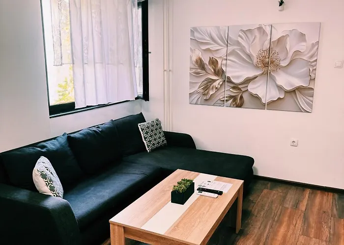 The Boulevard Buzz 兹雷尼亚宁